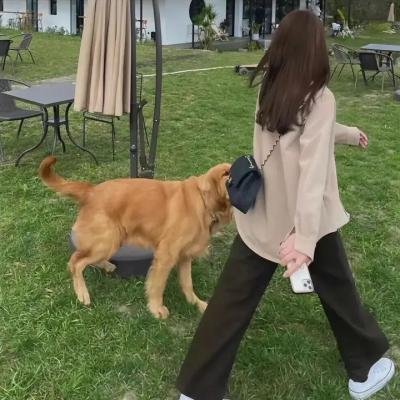 麋鹿王
